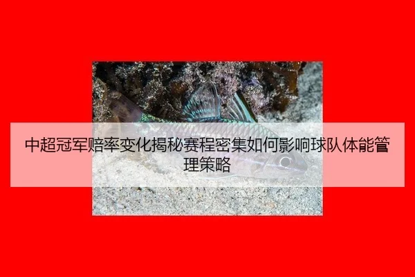 中超冠军赔率变化揭秘赛程密集如何影响球队体能管理策略